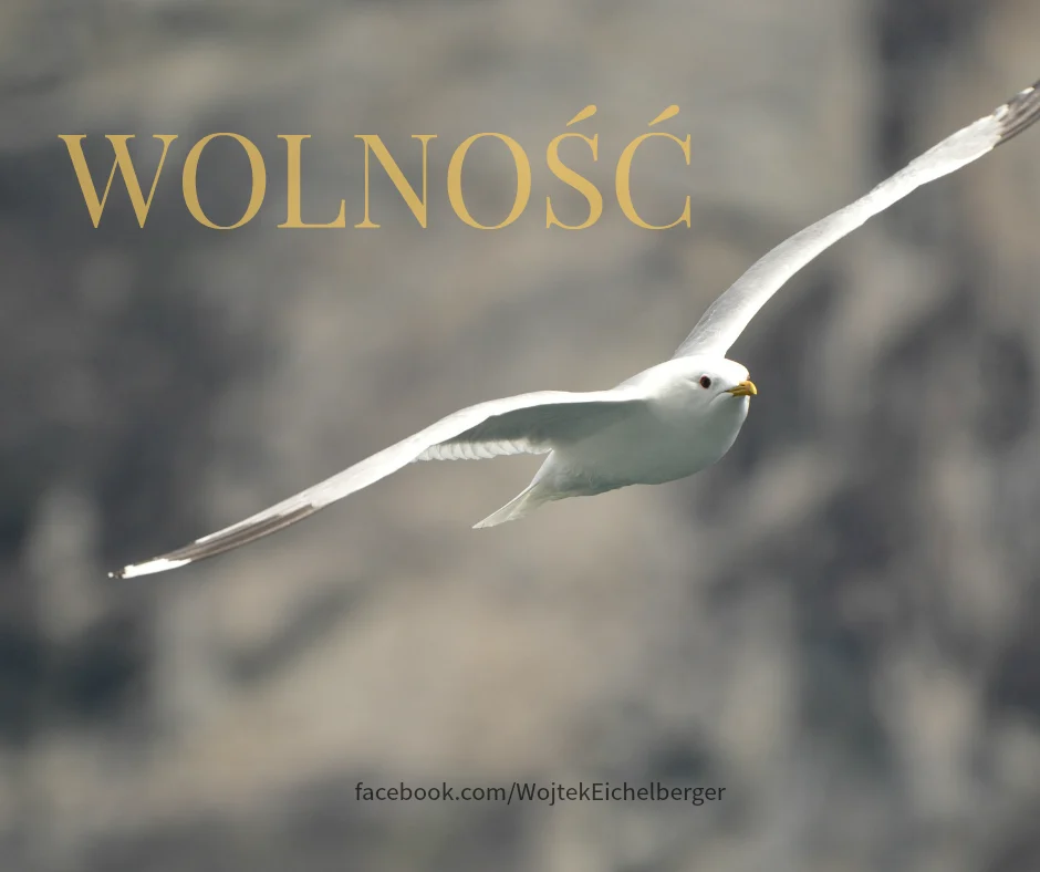 Wolność